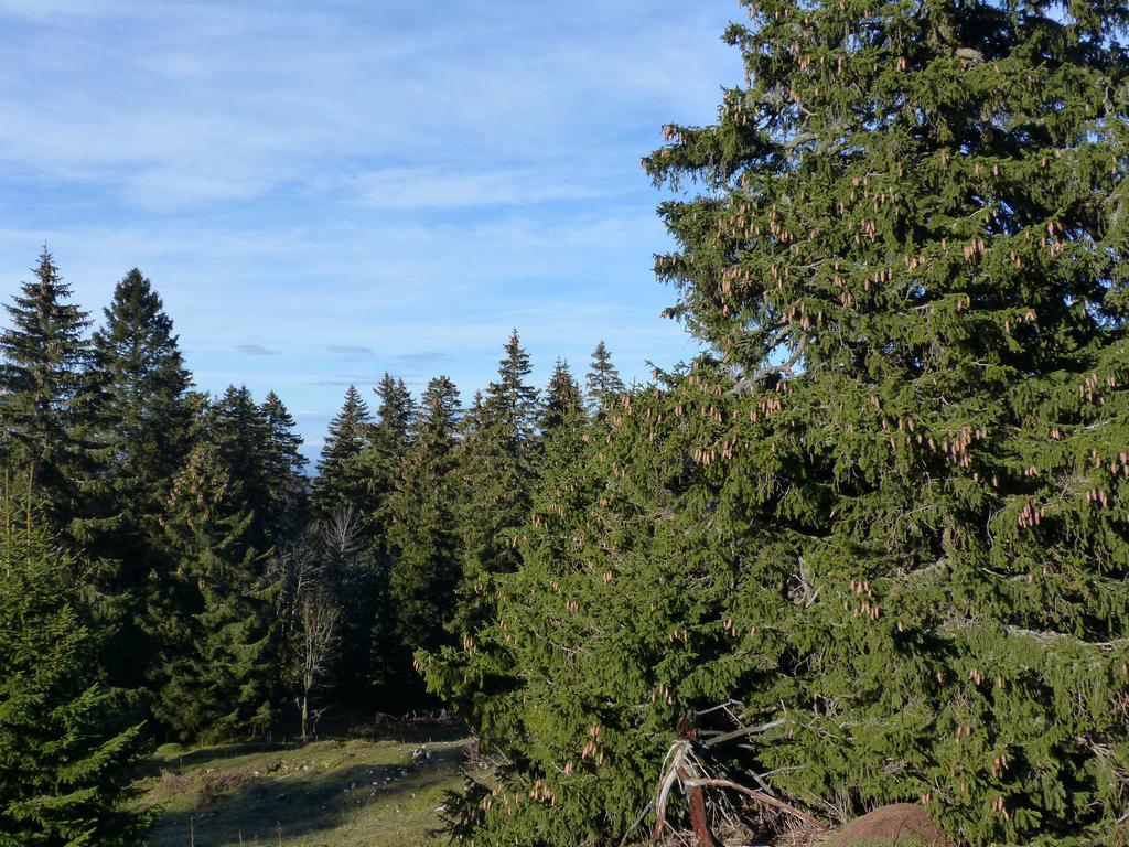 {Clic pour voir plus grand}