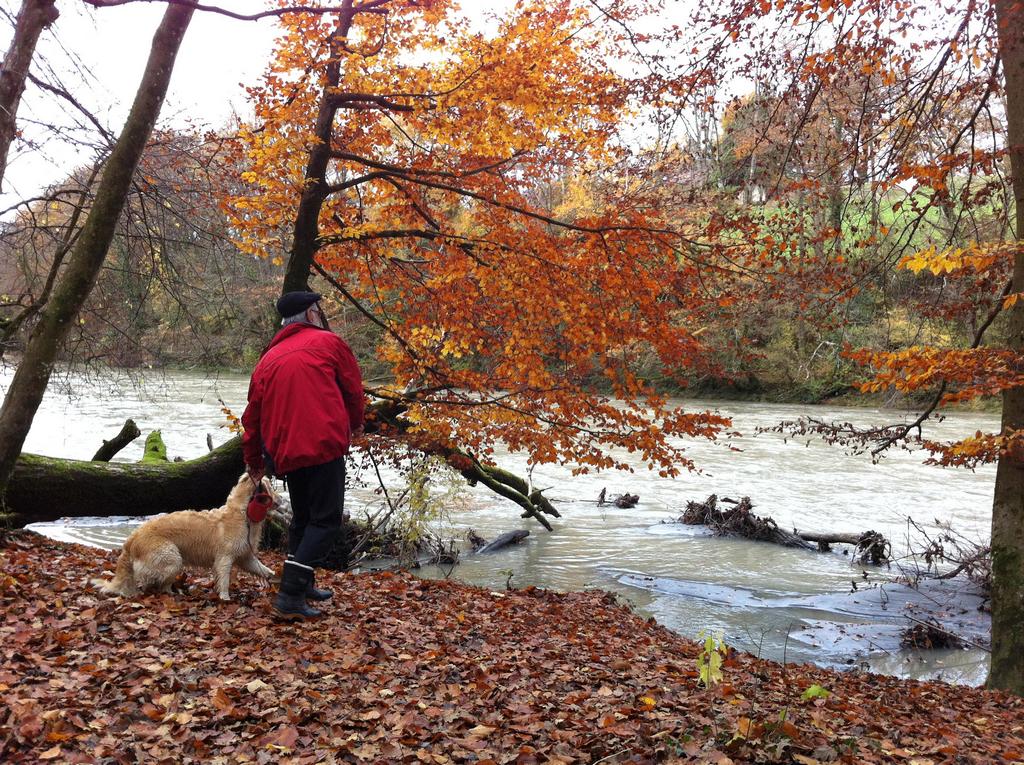 {Clic pour voir plus grand}