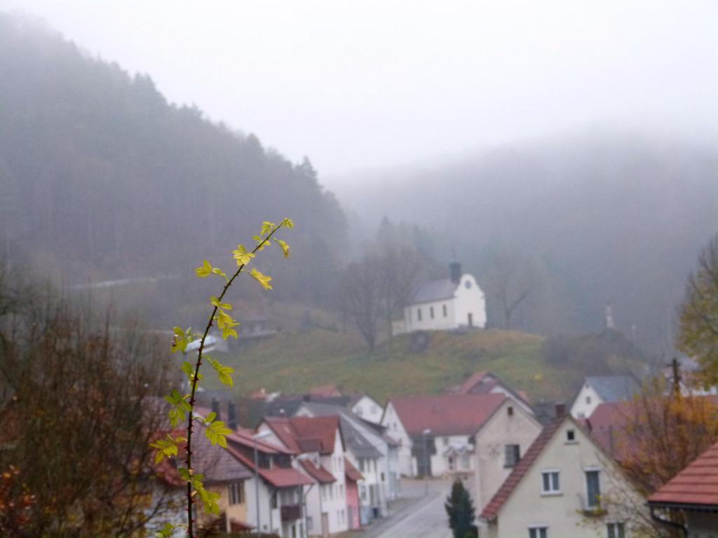 {Clic pour voir plus grand}