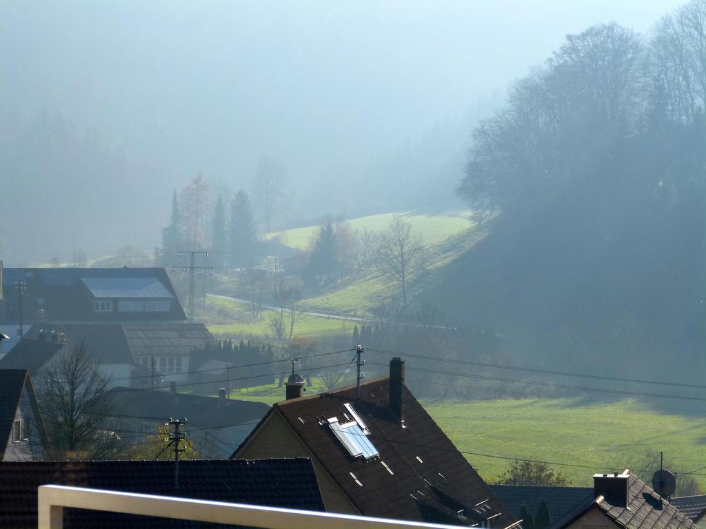 {Clic pour voir plus grand}