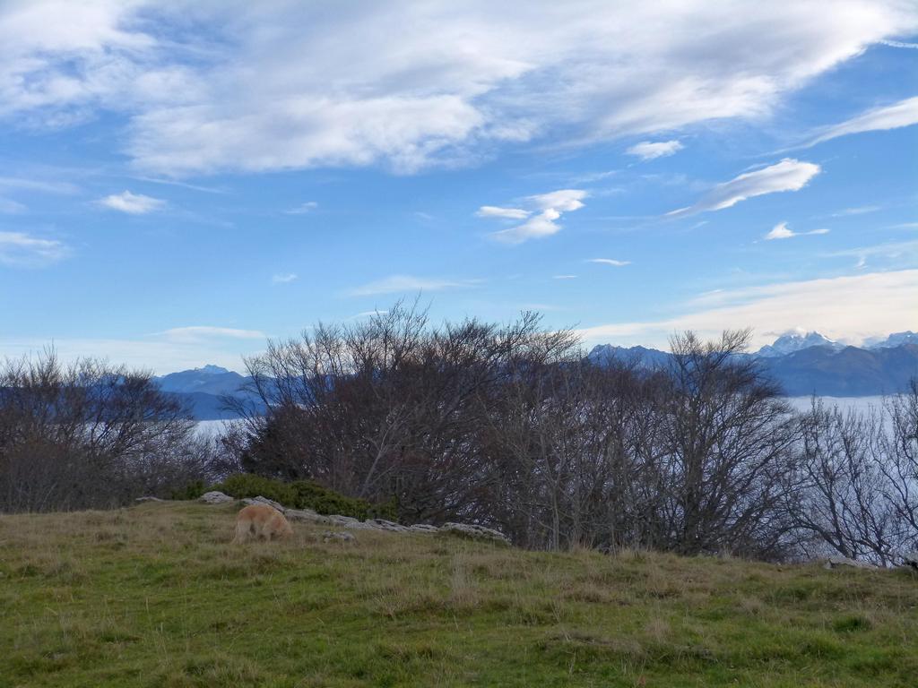 {Clic pour voir plus grand}