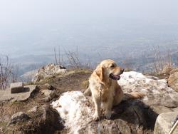 Click to see big picture (1024x768 pixels; 128 KB)