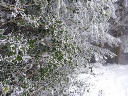 Click to see big picture (1024x768 pixels; 207 KB)