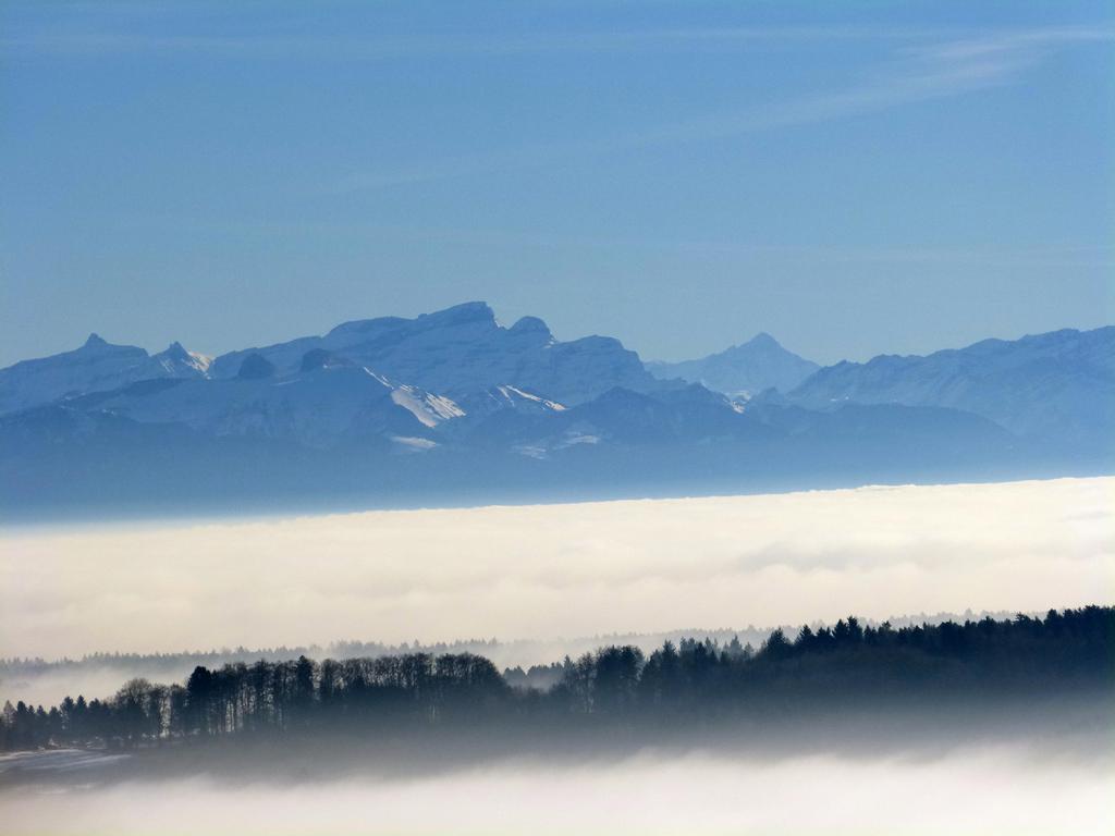 {Clic pour voir plus grand}