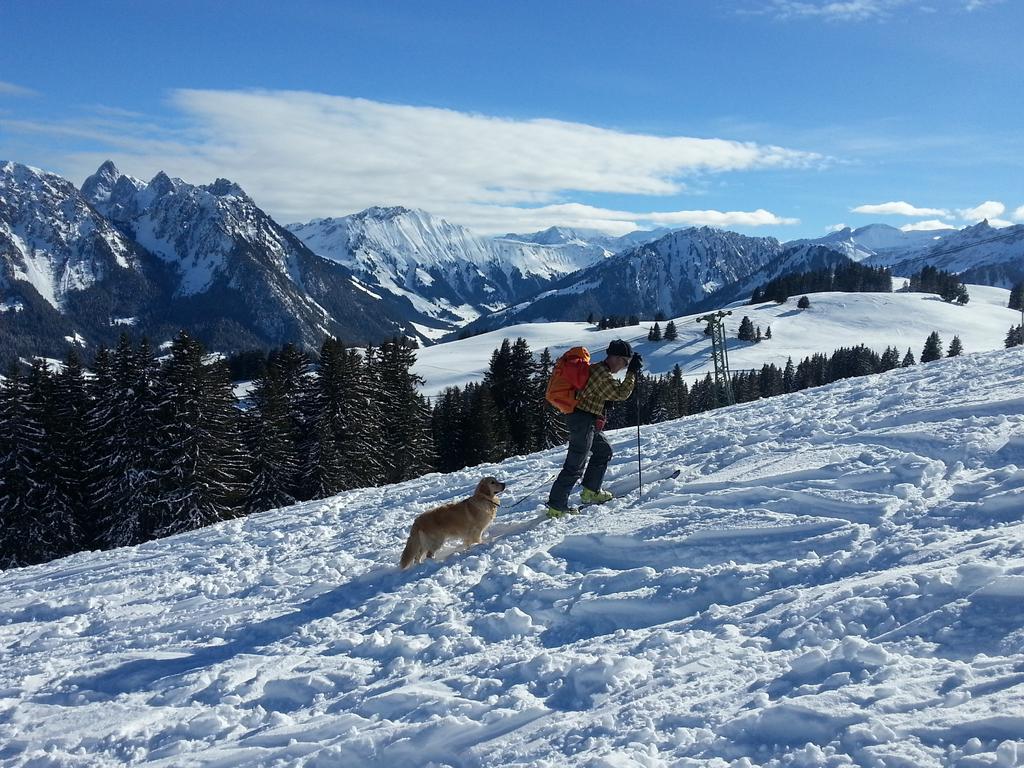 {Clic pour voir plus grand}