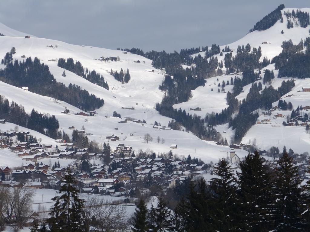 {Clic pour voir plus grand}