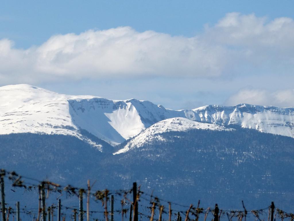 {Clic pour voir plus grand}