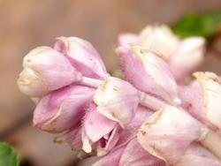 Click to see big picture (1024x768 pixels; 73 KB)