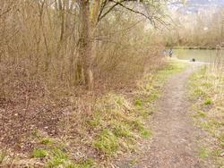 Click to see big picture (1024x768 pixels; 264 KB)