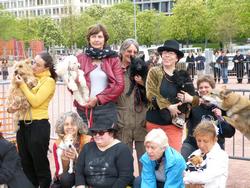 Click to see big picture (1024x768 pixels; 163 KB)