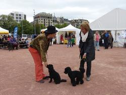 Click to see big picture (1024x768 pixels; 130 KB)