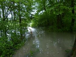 Click to see big picture (1024x768 pixels; 179 KB)