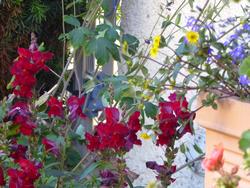 Click to see big picture (1024x768 pixels; 132 KB)