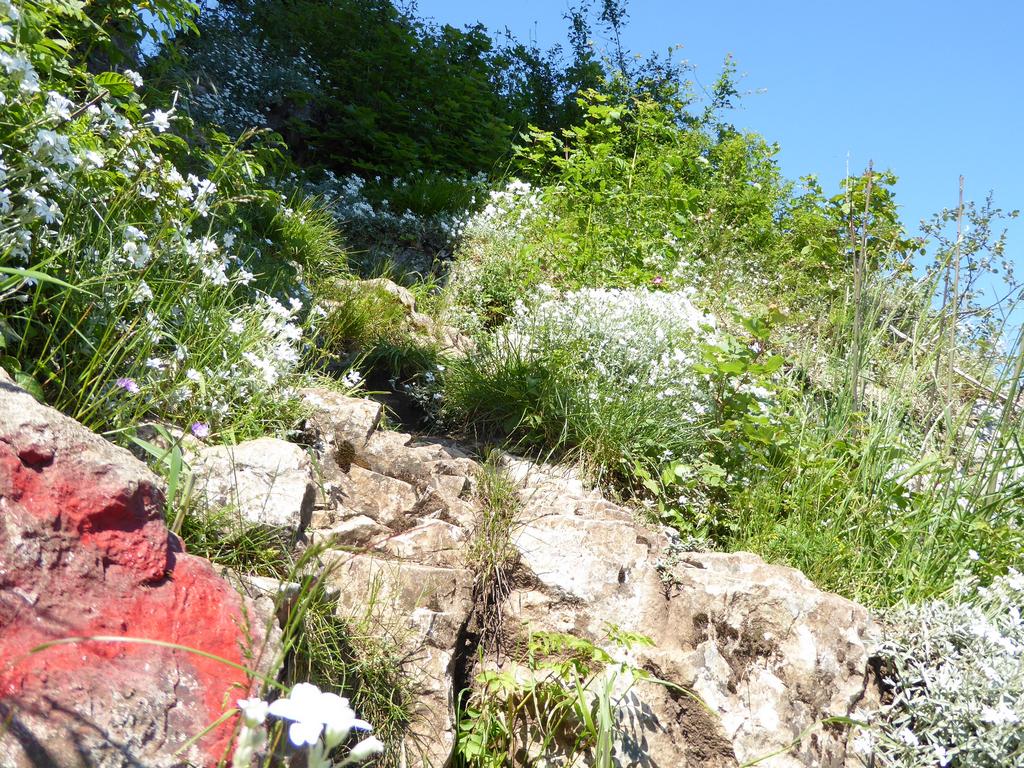 {Clic pour voir plus grand}