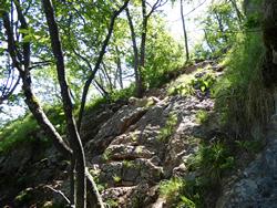 Click to see big picture (1024x768 pixels; 244 KB)