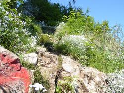 Click to see big picture (1024x768 pixels; 262 KB)