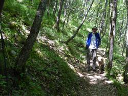 Click to see big picture (1024x768 pixels; 233 KB)