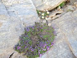 Click to see big picture (1024x768 pixels; 231 KB)