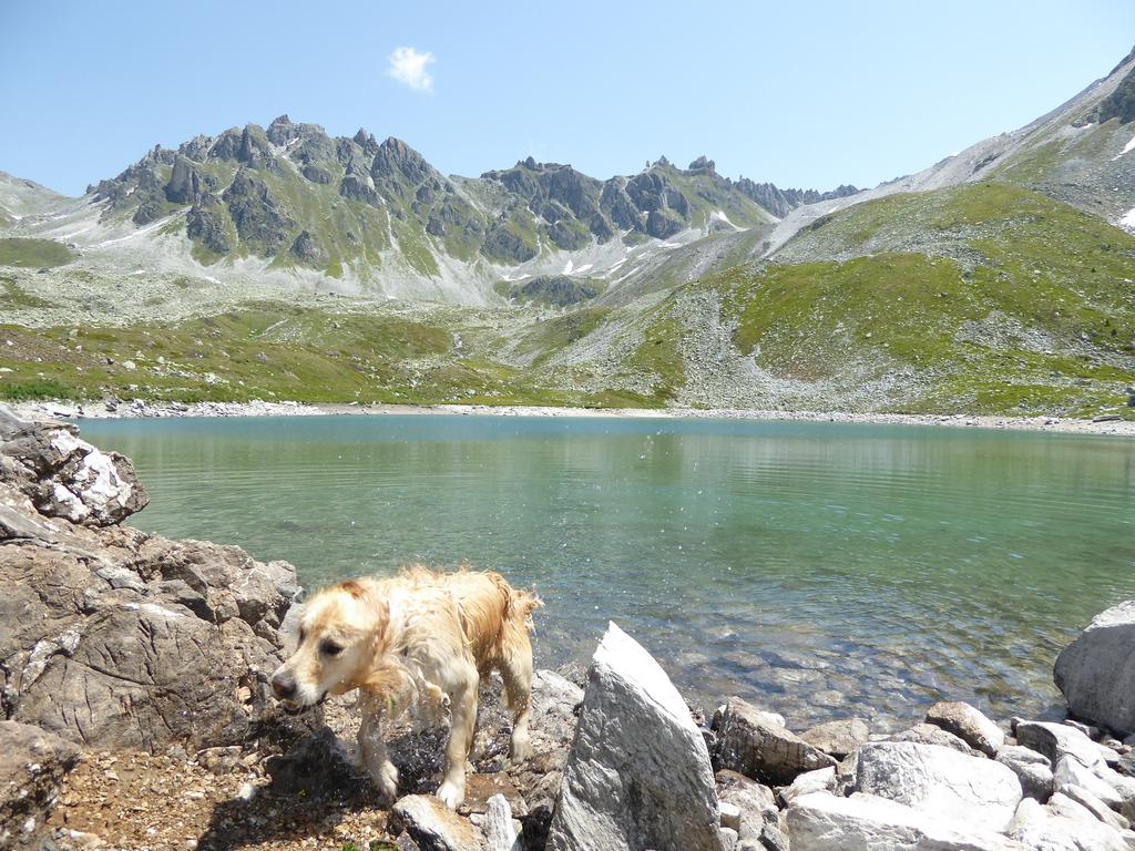 {Clic pour voir plus grand}