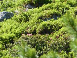 Click to see big picture (1024x768 pixels; 250 KB)