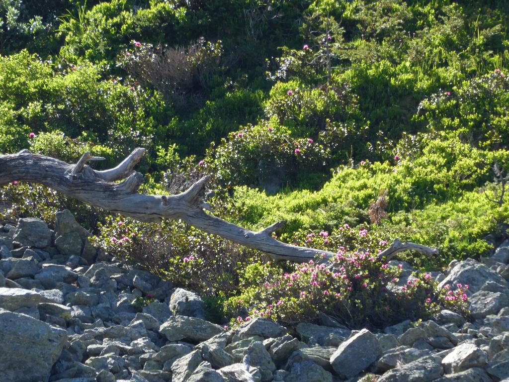 {Clic pour voir plus grand}