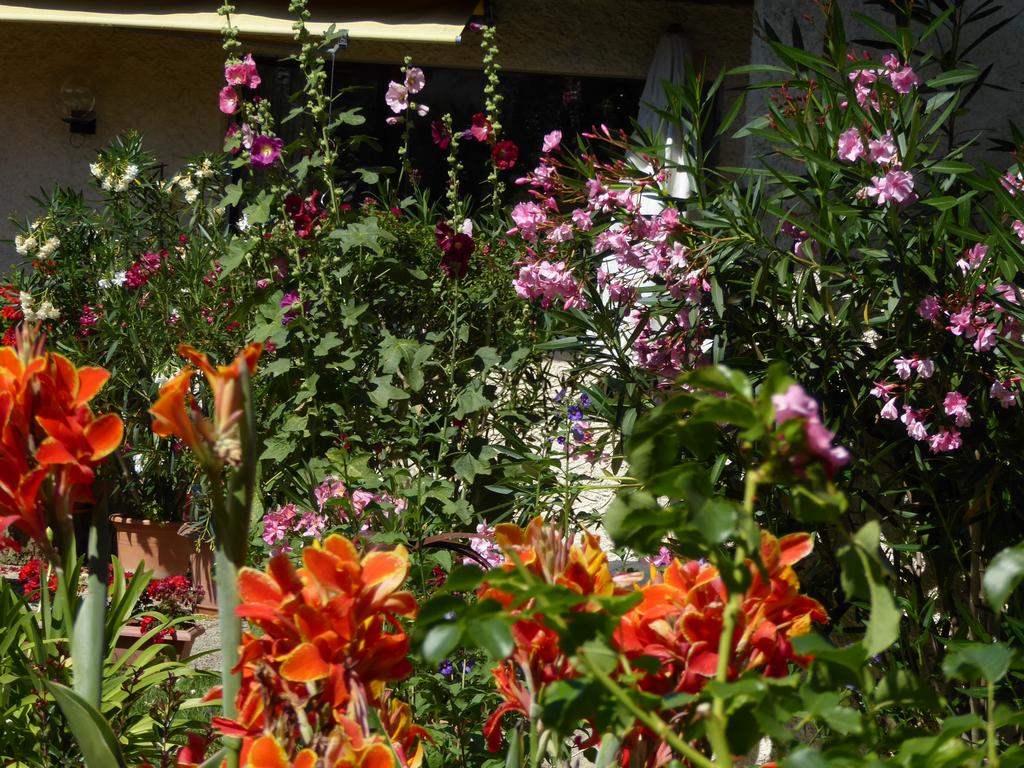 {Clic pour voir plus grand}