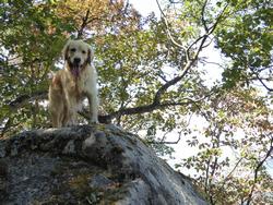 Click to see big picture (1024x768 pixels; 262 KB)