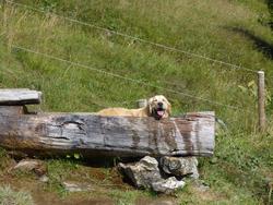 Click to see big picture (1024x768 pixels; 221 KB)