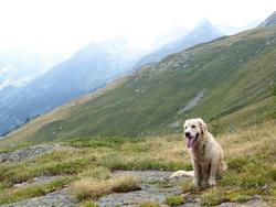 Click to see big picture (1024x768 pixels; 145 KB)