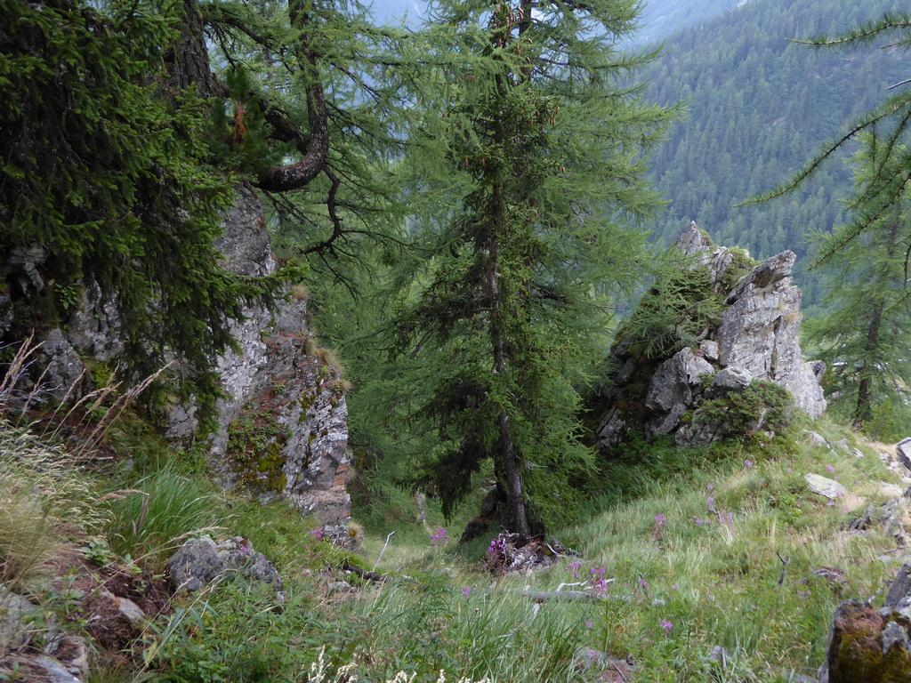 {Clic pour voir plus grand}