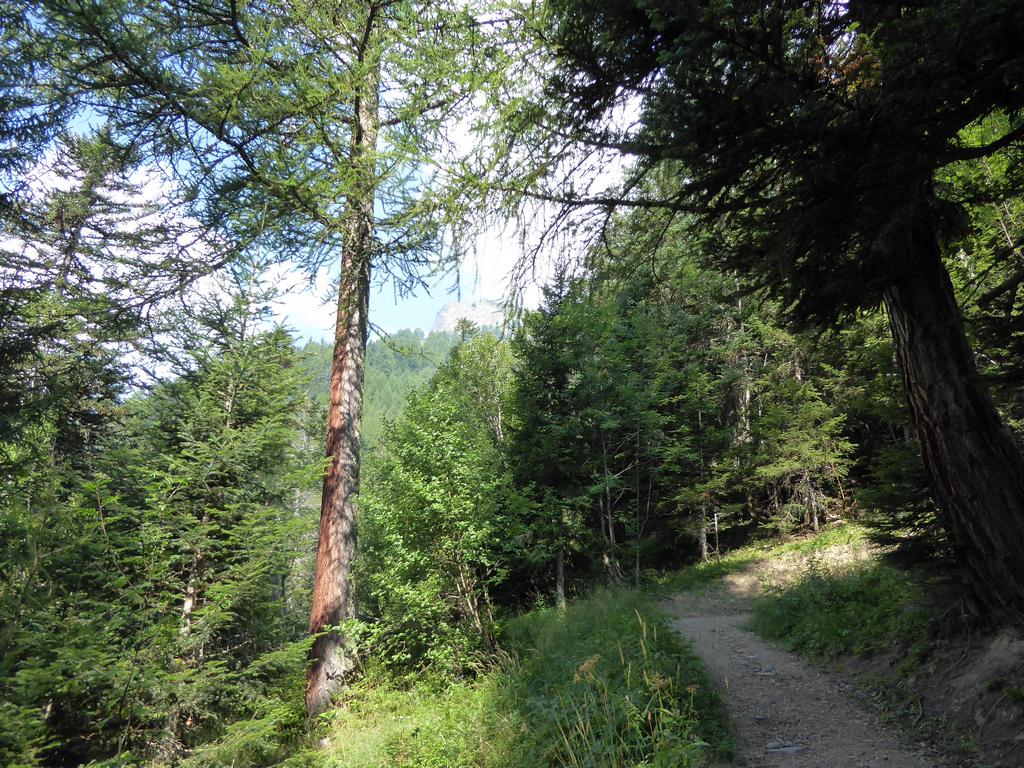 {Clic pour voir plus grand}