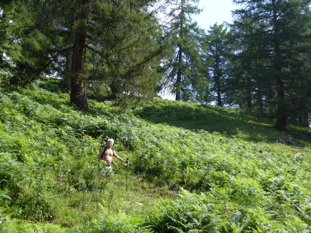 {Clic pour voir plus grand}