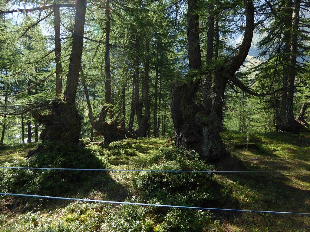 {Clic pour voir plus grand}