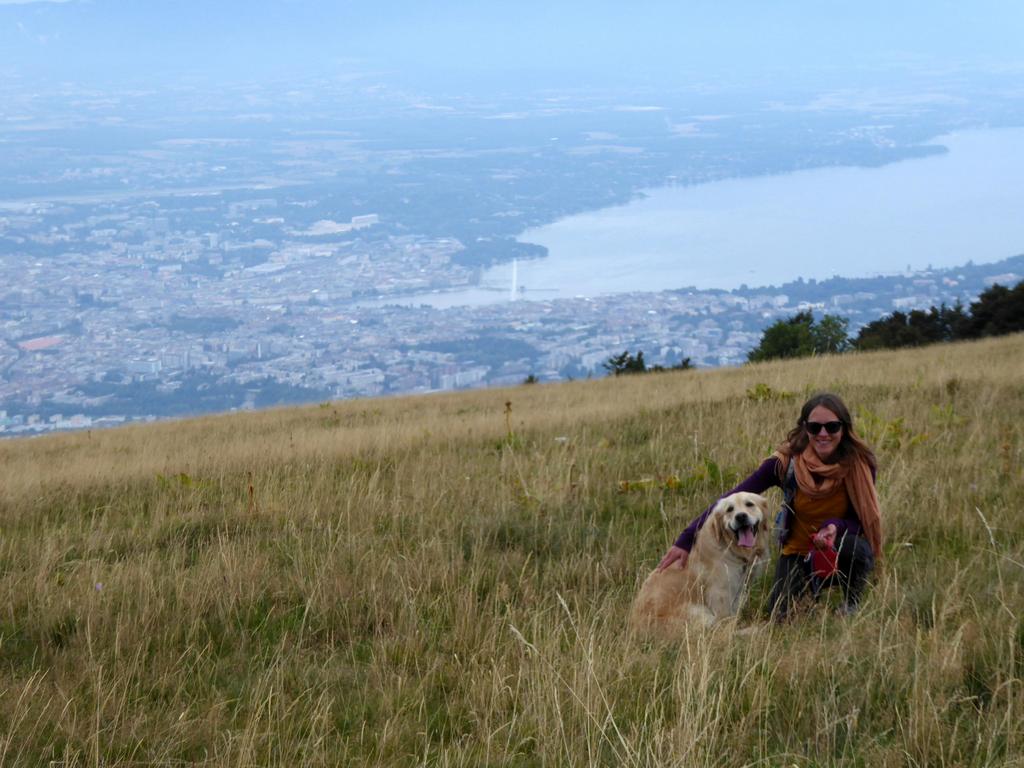 {Clic pour voir plus grand}