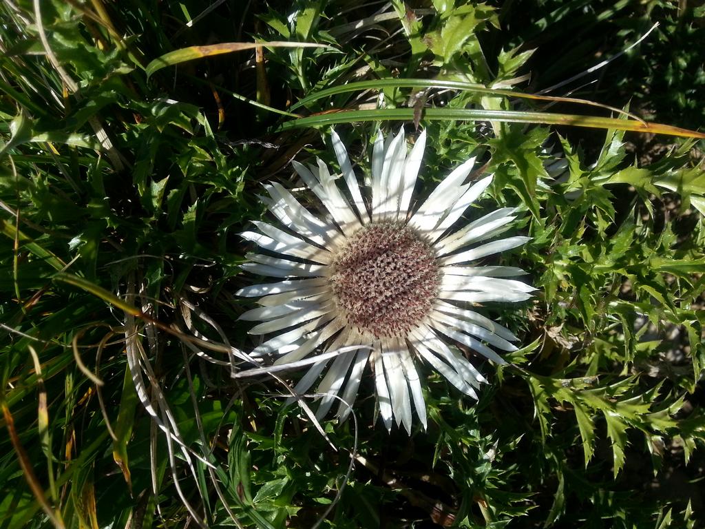 {Clic pour voir plus grand}