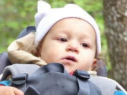 Click to see big picture (1024x768 pixels; 79 KB)