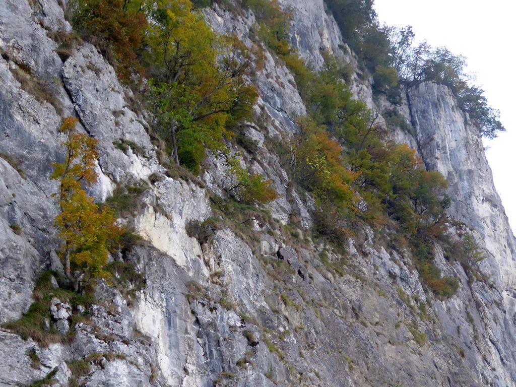 {Clic pour voir plus grand}