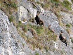 Click to see big picture (1024x768 pixels; 159 KB)