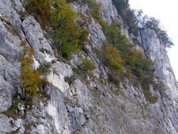 Click to see big picture (1024x768 pixels; 185 KB)