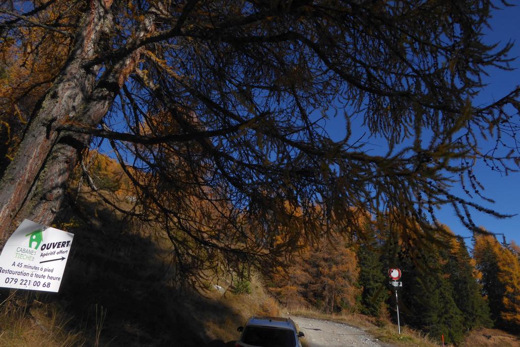 {Clic pour voir plus grand}