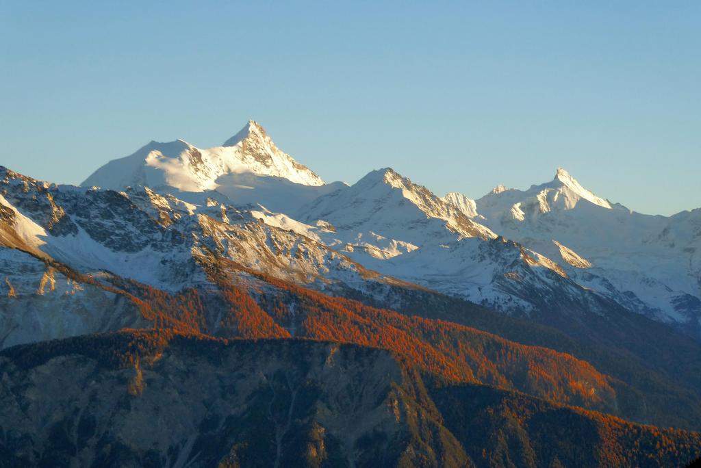 {Clic pour voir plus grand}