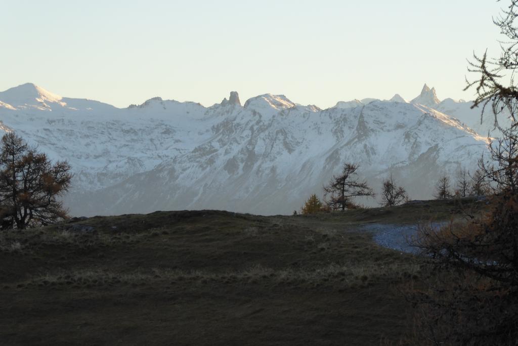 {Clic pour voir plus grand}