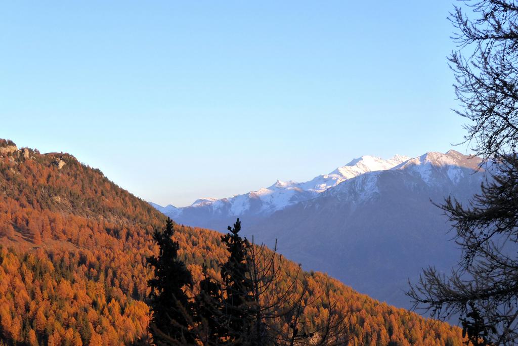 {Clic pour voir plus grand}