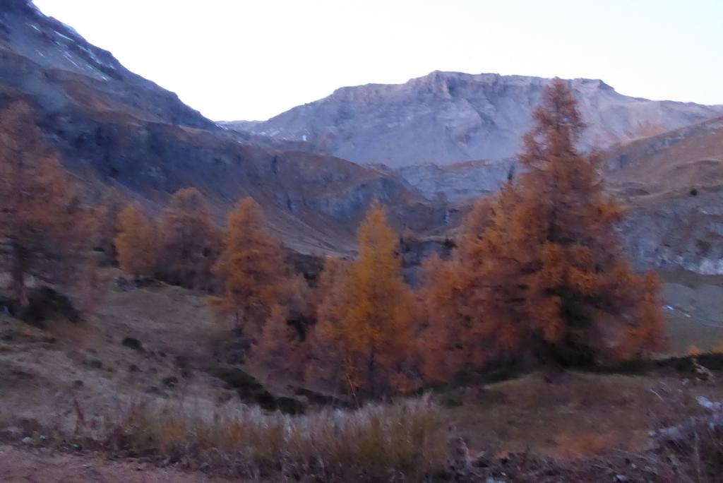 {Clic pour voir plus grand}