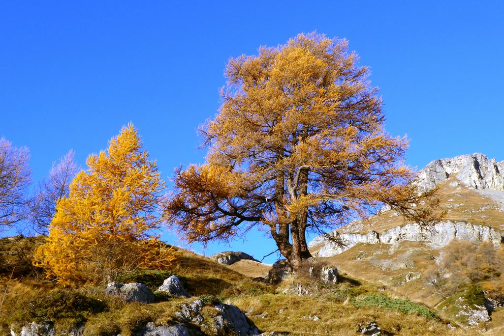 {Clic pour voir plus grand}