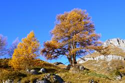 Click to see big picture (1024x684 pixels; 161 KB)