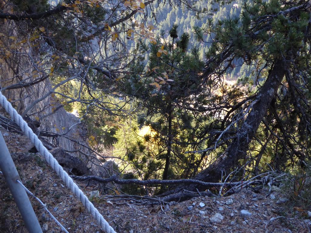 {Clic pour voir plus grand}