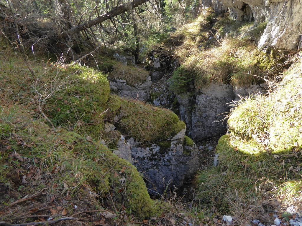 {Clic pour voir plus grand}