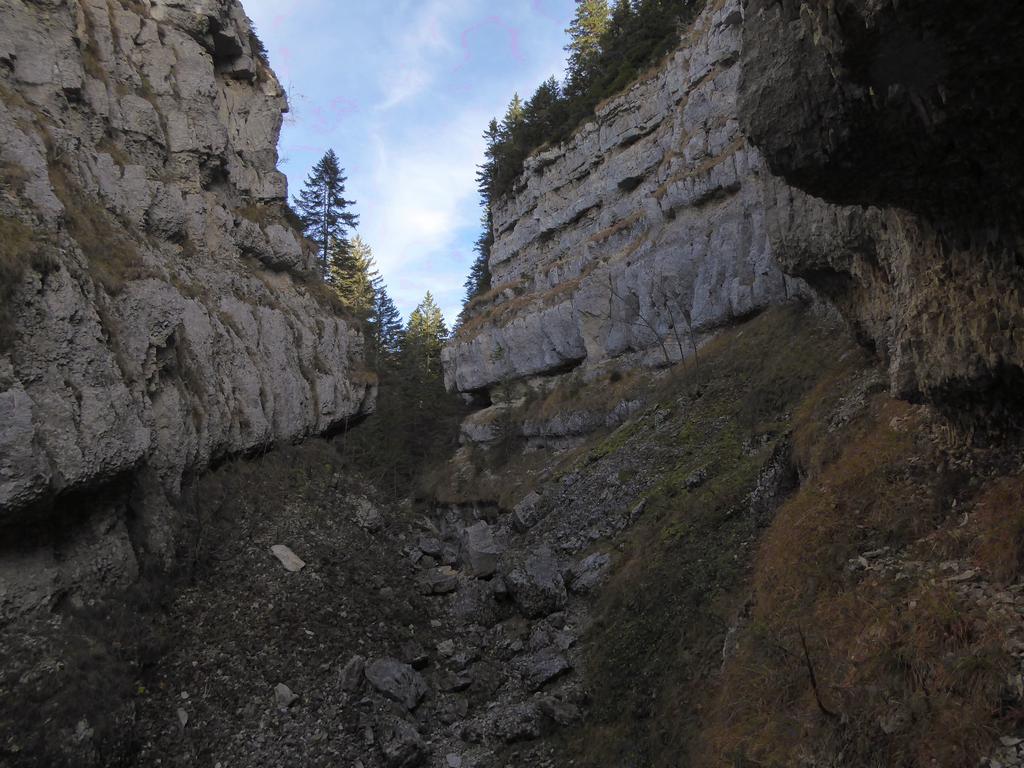 {Clic pour voir plus grand}