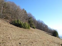 Click to see big picture (1024x768 pixels; 170 KB)